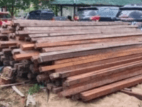 Direktorat Reserse Kriminal Khusus (Ditreskrimkus) Polda tangkap kayu Belian ratusan batang, beberapa Minggu lalu