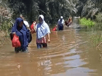 Banjir Lalu Lintas Macet,Warga Gagal Panen
