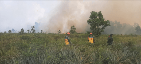 Titik Panas Terdeteksi di Desa Galang, Koramil Sungai Pinyuh: Areal Terbakar di Lahan Gambut