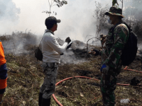 50 Hektare Lahan Gambut di Desa Semparong Terbakar, Babinsa Koramil Sungai Kunyit, Berjibaku Ikut Padamkan Api