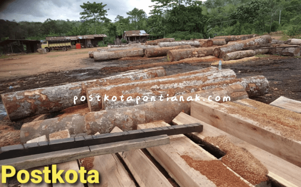 Marak Pembalakan Hutan di Kecamatan Sandai, LP-KPK Minta APH Bertindak Tegas