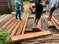 Sat Reskrim Polres Ketapang Ungkap Kasus Ilegal Logging di Sandai