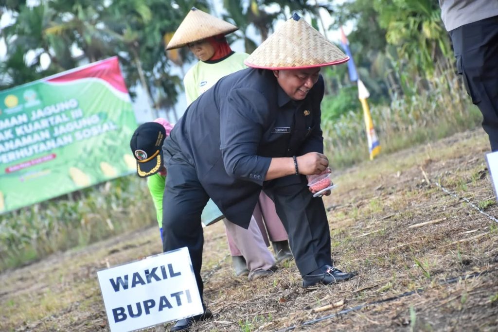 Tanam Jagung Serentak di Rasau Jaya, Sukiryanto: Ini Bukti Ketahanan Pangan Tanggung Jawab Bersama
