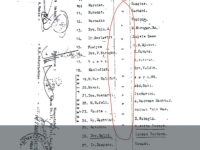 SPT Palsu Terungkap!!! Oknum Kades Parit Baru Diduga Terlibat Rekayasa Dokumen Tanah Milik Pelapor