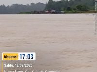 PETI di Sanggau: Razia Hanya Formalitas, Sungai Kapuas Kembali Tercabik Mesin Sedot
