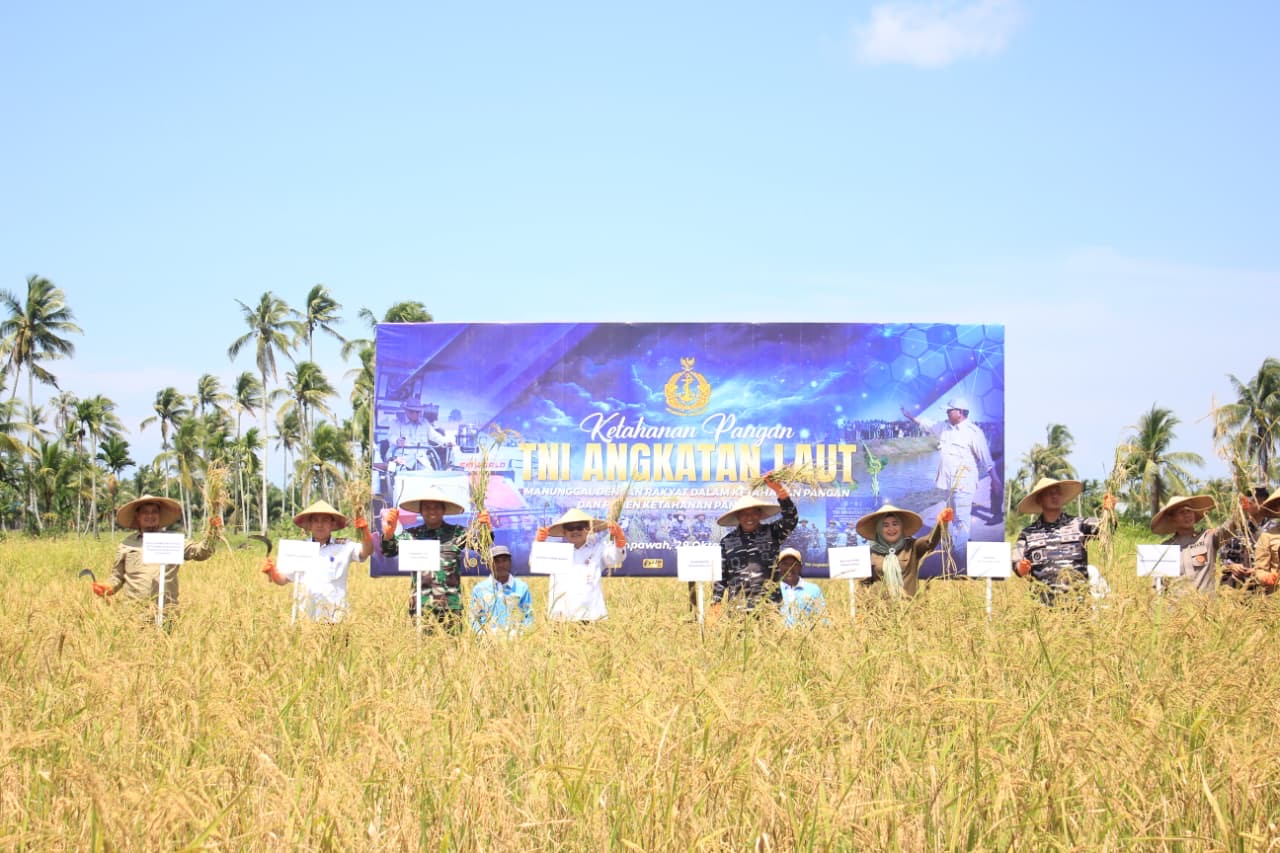 Solidkan langkah, Dandim 1201 Hadiri Panen Raya TNI AL, Wujudkan Prabowo Food Security Roadmap