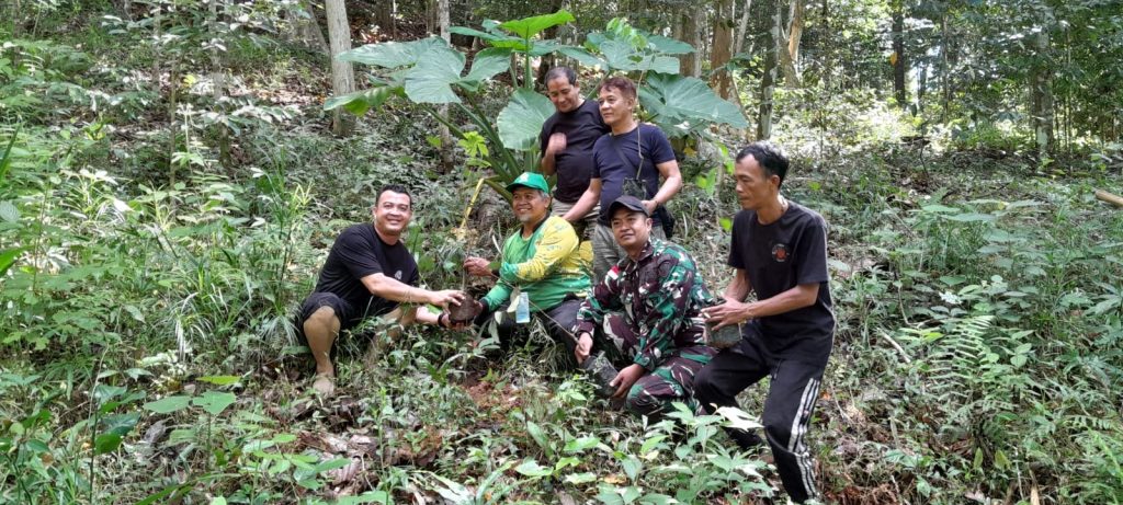 Rawat Hutan Riam Bukit Raya, Panglima Jilah Ajak LDII Kalbar, dan Lanud Supadio Kolaborasi Tanam Pohon