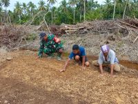 Babinsa Kodim 1201/Mempawah Kawal Program Presiden, Tanam Padi Perdana di Lahan Cetak Sawah 55 Hektare