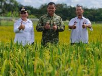 Dandim1204/Sanggau Hadiri Zoom Tasyukuran Swasembada Pangan Tahun 2025 Bersama Wakil Bupati Sanggau 