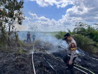 Kepedulian Bersama, Karhutla 4 Lahan di Landak Berhasil Ditangani