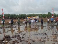 Plh Koramil 06/Selakau Hadiri Tanam Padi Perdana di Lahan Cetak Sawah Rakyat Wilayah Binaan