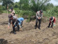 Polsek Menjalin Dukung Program Swasembada Pangan 2026 Melalui Penanaman Jagung di Desa Raba