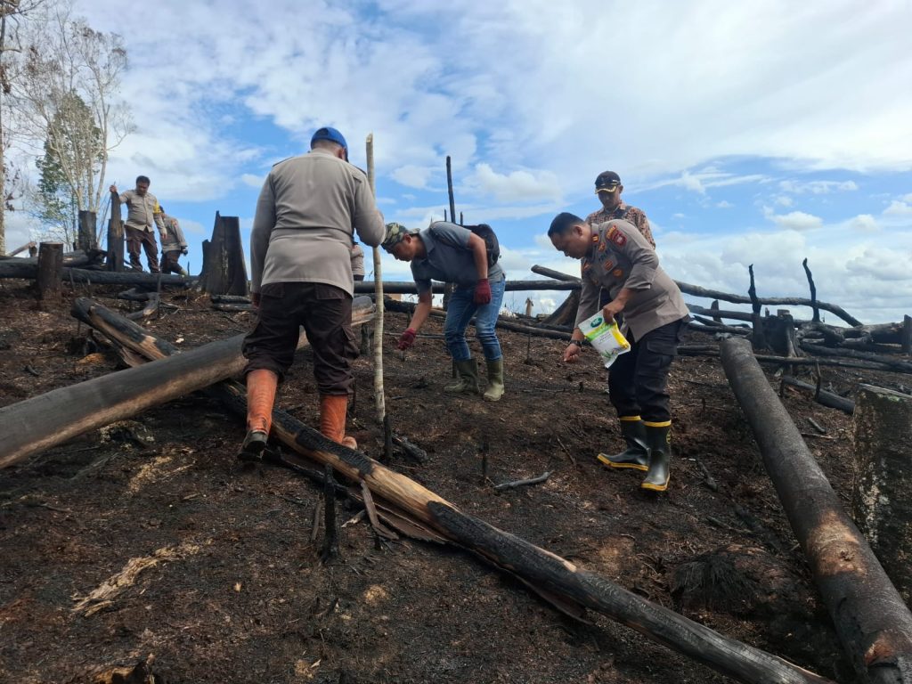 Terus Mendukung Swasembada Pangan Nasional, Polsek Kuala Behe Bersama Warga Tanam Jagung Di Demplot Polsek