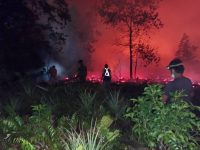 BREAKING NEWS: Karhutla Mengganas di Lahan Gambut Desa Galang, Api Dilawan Hingga Malam Hari