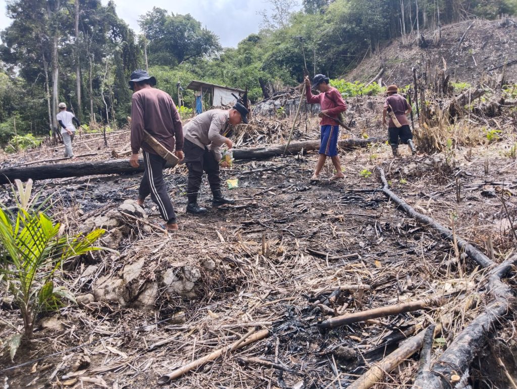 Bhabinkamtibmas Dampingi Tanam Jagung Mandiri di Desa Pawis Hilir, Dukung Program Ketahanan Pangan Nasional