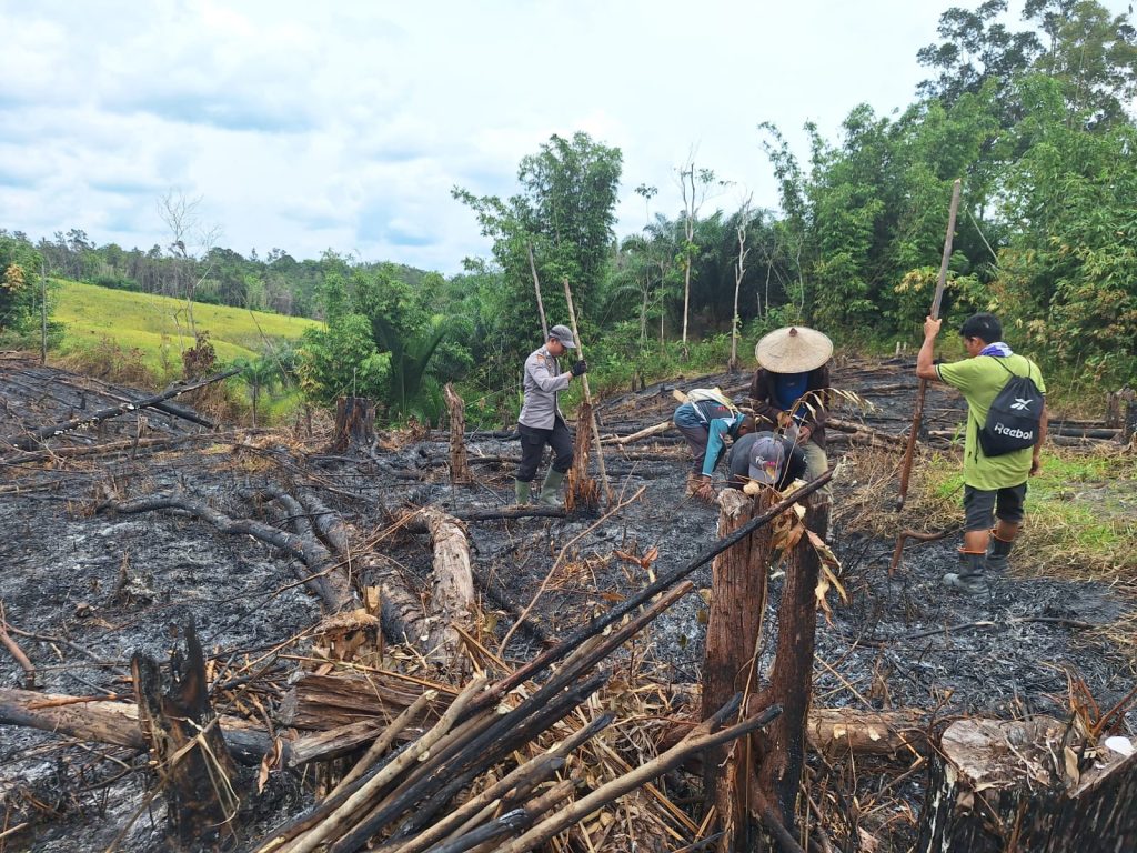 Polsek Ngabang Dukung Ketahanan Pangan, Bhabinkamtibmas Bersama Kelompok Tani Tanam Jagung di Desa Muun