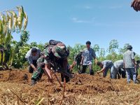 Pasi Ter Kodim 1201/Mempawah Ajak Generasi Muda Peduli Lingkungan di Penghujung TMMD
