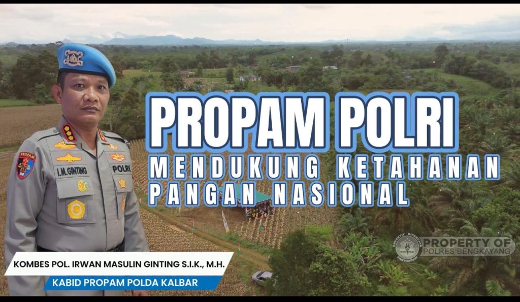 <h4><a href='https://postkotapontianak.com/bidpropam-polda-kalbar-bersama-polres-bengkayang-panen-raya-jagung-polri-dan-masyarakat-perkuat-swasembada-pangan-nasional/' title='Bidpropam Polda Kalbar bersama Polres Bengkayang Panen Raya Jagung, Polri dan Masyarakat Perkuat Swasembada Pangan Nasional'>Bidpropam Polda Kalbar bersama Polres Bengkayang Panen Raya Jagung, Polri dan Masyarakat Perkuat Swasembada Pangan Nasional</a></h4>