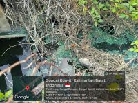 Laut Tercemar, Udara Menyengat: Nestapa Warga Mendalok di Tengah Bungkamnya Pemkab Mempawah atas PT. Unicoco