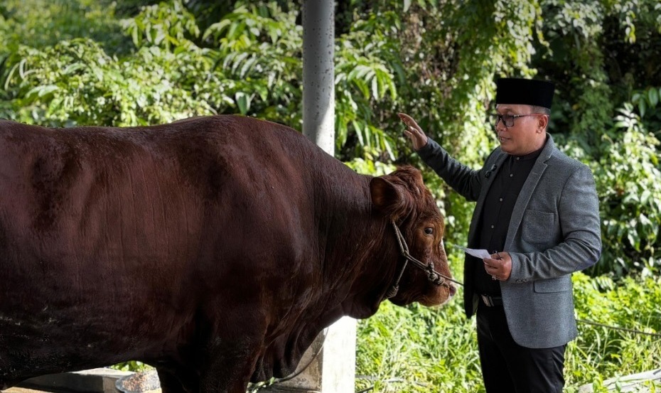 <h4><a href='https://postkotapontianak.com/bupati-sujiwo-sebut-23-hewan-kurban-pemkab-kubu-raya-mayoritas-hasil-gotong-royong-asn/' title='Bupati Sujiwo Sebut 23 Hewan Kurban Pemkab Kubu Raya, Mayoritas Hasil Gotong Royong ASN'>Bupati Sujiwo Sebut 23 Hewan Kurban Pemkab Kubu Raya, Mayoritas Hasil Gotong Royong ASN</a></h4>
