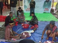 Partai Solidaritas Indonesia Melaksanakan Ibadah Kurban Idul Adha 1447 Hijriyah di Mempawah