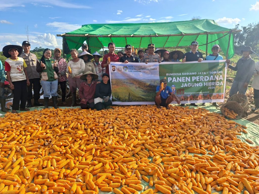 <h4><a href='https://postkotapontianak.com/panen-raya-3-ton-jagung-di-tonang-sinergi-tiga-pilar-dan-bumdes-wujudkan-ketahanan-pangan-berkelanjutan-di-sengah-temila/' title='Panen Raya 3 Ton Jagung di Tonang: Sinergi Tiga Pilar dan Bumdes Wujudkan Ketahanan Pangan Berkelanjutan di Sengah Temila'>Panen Raya 3 Ton Jagung di Tonang: Sinergi Tiga Pilar dan Bumdes Wujudkan Ketahanan Pangan Berkelanjutan di Sengah Temila</a></h4>