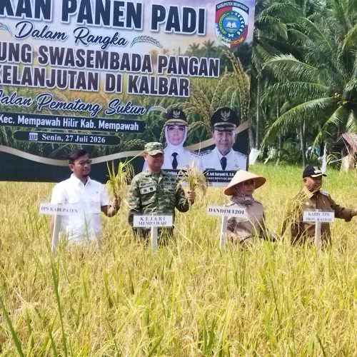 Danramil 1201-03/Mempawah Hilir Hadiri Gerakan Panen Padi, Dukung Swasembada Pangan Berkelanjutan