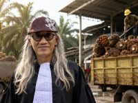 Dr. Herman Hofi: Sidak Wagub Kalbar Buka Dugaan Permainan Harga Sawit di PKS