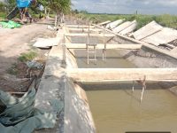 Dipantau LP Tipikor Nusantara, Proyek Pembangunan di Desa Dungun Capai 85 Persen