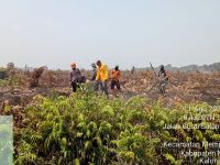 Dari Titik Api ke Aksi Nyata, TNI-Polri Bersama Tim Gabungan Cegah Karhutla Meluas