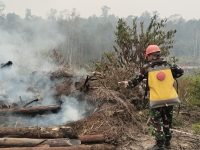 Koramil 05/Toho Perkuat Penanganan Karhutla Secara Masif dan Berkelanjutan di Wilayah Sadaniang
