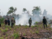 Gerak Cepat Tangani Hotspot, Koramil Mempawah Hilir Padamkan Karhutla di Sengkubang