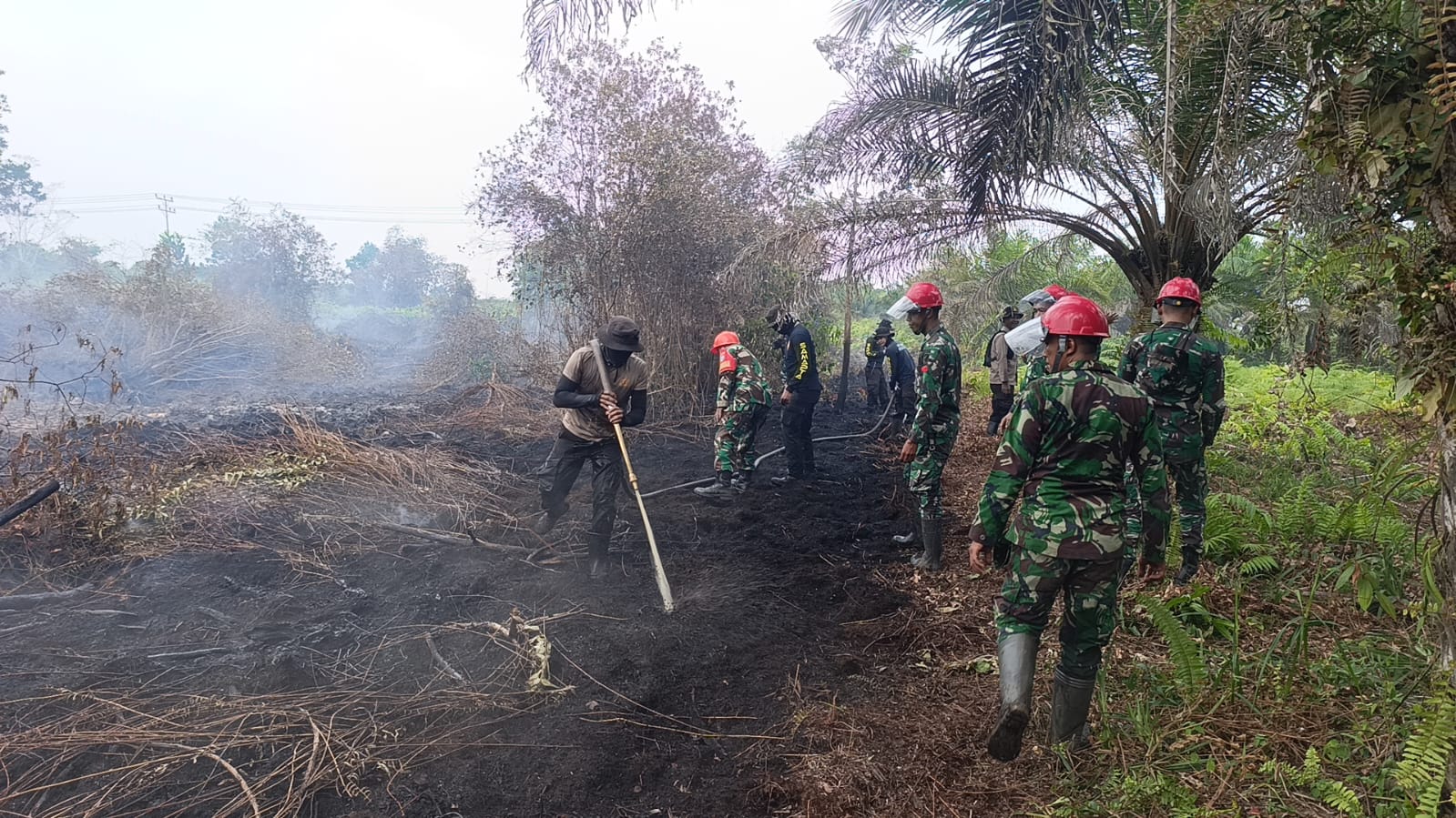 Asap Mulai Membubung, TNI Bersama Tim Gabungan Langsung Kepung Titik Api di Mempawah