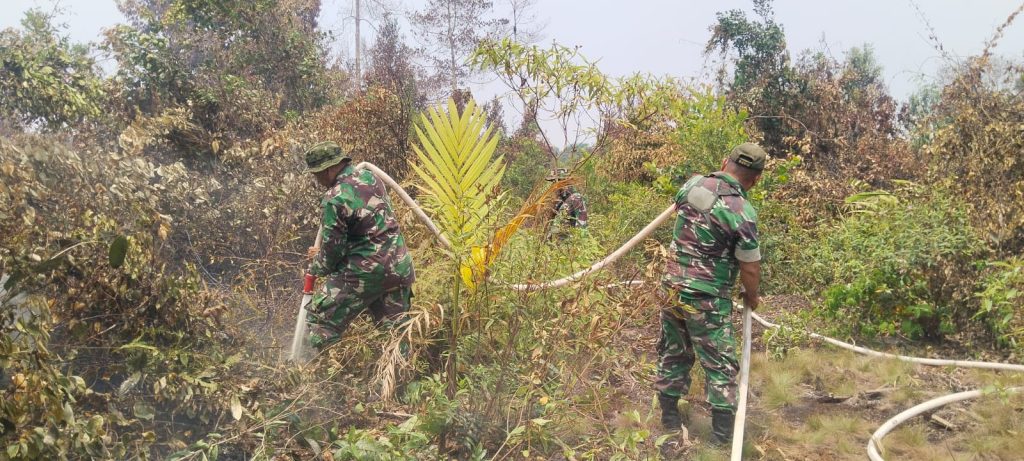 <h4><a href='https://postkotapontianak.com/sinergitas-tni-polri-dan-manggala-agni-bergerak-cepat-karhutla-12-hektare-di-sekabuk-berhasil-dikendalikan/' title='Sinergitas TNI-Polri dan Manggala Agni Bergerak Cepat, Karhutla 1,2 Hektare di Sekabuk Berhasil Dikendalikan'>Sinergitas TNI-Polri dan Manggala Agni Bergerak Cepat, Karhutla 1,2 Hektare di Sekabuk Berhasil Dikendalikan</a></h4>
