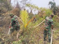Sinergitas TNI-Polri dan Manggala Agni Bergerak Cepat, Karhutla 1,2 Hektare di Sekabuk Berhasil Dikendalikan