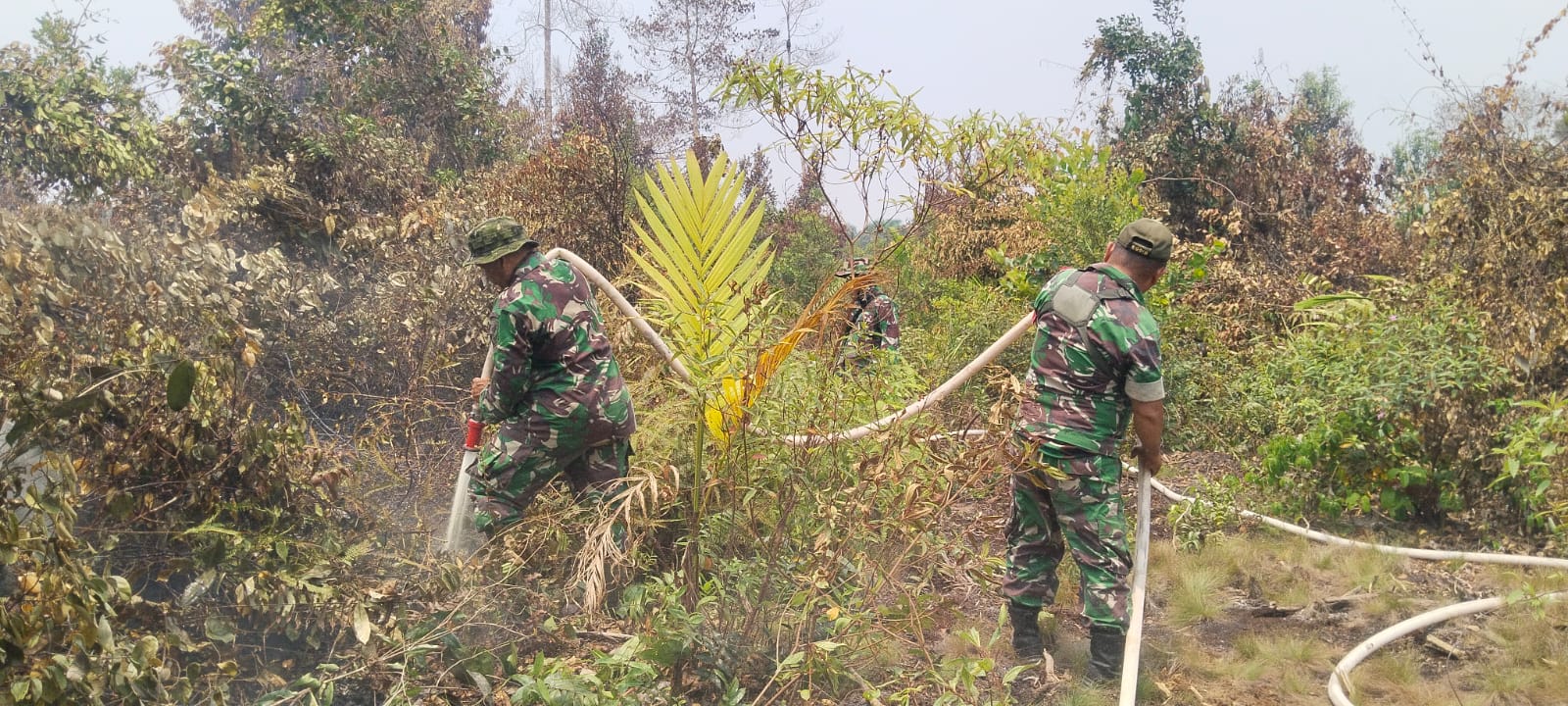 Sinergitas TNI-Polri dan Manggala Agni Bergerak Cepat, Karhutla 1,2 Hektare di Sekabuk Berhasil Dikendalikan
