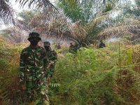 Patroli dan Ground Check Karhutla, Koramil 1201-02/Sungai Pinyuh Sambangi Wilayah Rawan Kebakaran di Anjungan