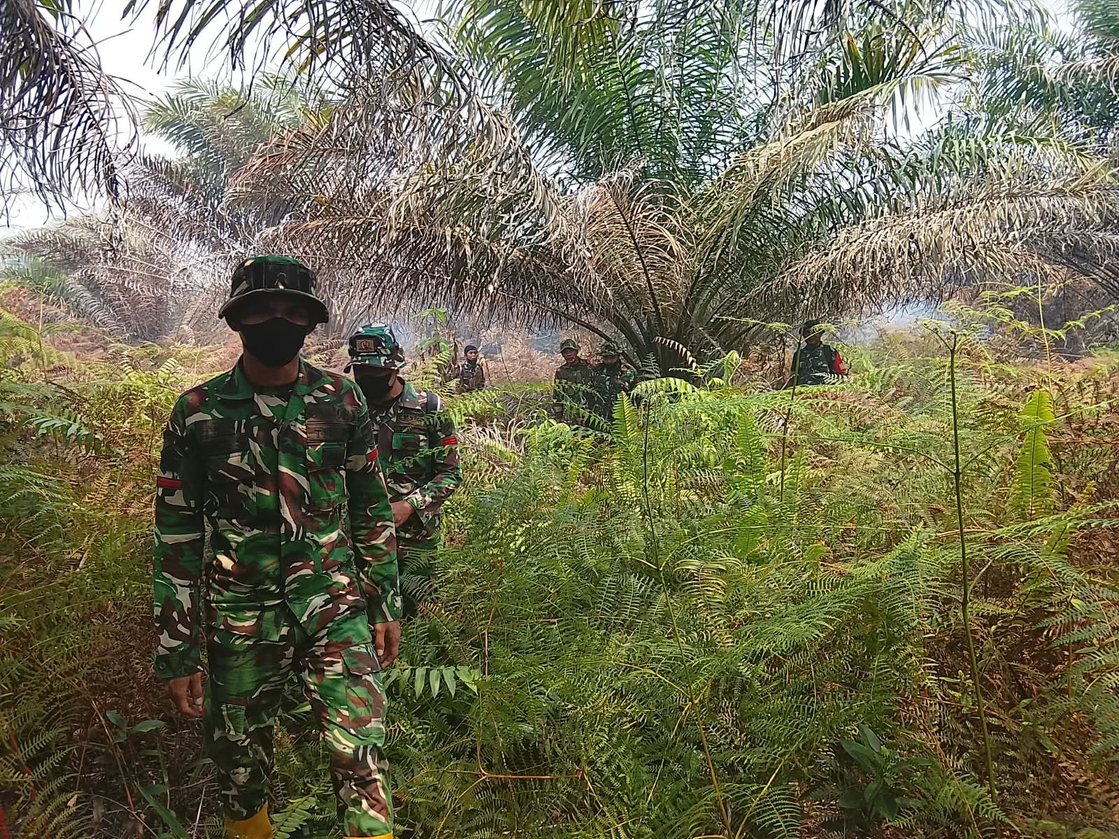 Patroli dan Ground Check Karhutla, Koramil 1201-02/Sungai Pinyuh Sambangi Wilayah Rawan Kebakaran di Anjungan