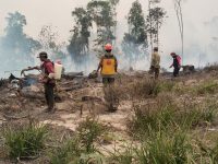 Koramil 1201-05/Toho Padamkan 3 Titik Api di Pentek, Cegah Karhutla Meluas
