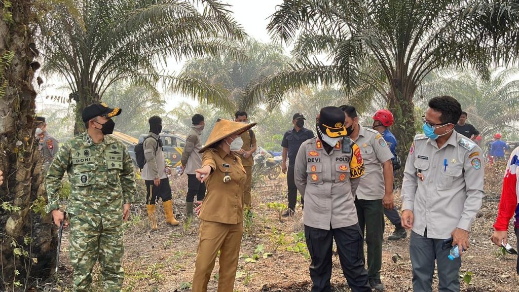 <h4><a href='https://postkotapontianak.com/kapolres-landak-turun-ke-lokasi-karhutla-di-dusun-pampang-api-diperkirakan-lahap-50-hektare/' title='Kapolres Landak Turun ke Lokasi Karhutla di Dusun Pampang, Api Diperkirakan Lahap 50 Hektare'>Kapolres Landak Turun ke Lokasi Karhutla di Dusun Pampang, Api Diperkirakan Lahap 50 Hektare</a></h4>