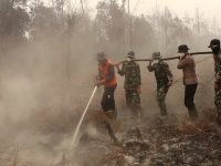 Api Padam, Penanganan Belum Usai: Kodim 1201/Mempawah Intensifkan Pendinginan Pascakarhutla
