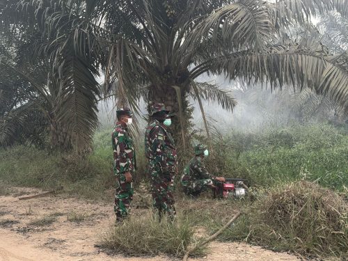 Pangkogabwilhan I Turun ke Lahan Karhutla Wajok, Pemulihan Jadi Langkah Berikutnya