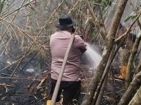 Polsek Matan Hilir Utara Gerak Cepat Padamkan Karhutla di Desa Kuala Tolak