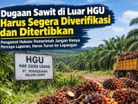 Perkebunan Sawit Diduga di Luar HGU, Herman Hofi Soroti Potensi Persoalan Hukum dan Penerimaan Negara